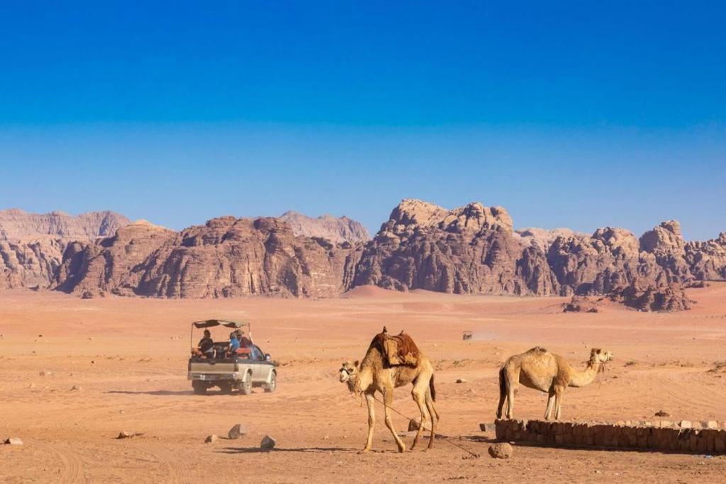 Bedouins Life Camp Hotel Akaba Kültér fotó