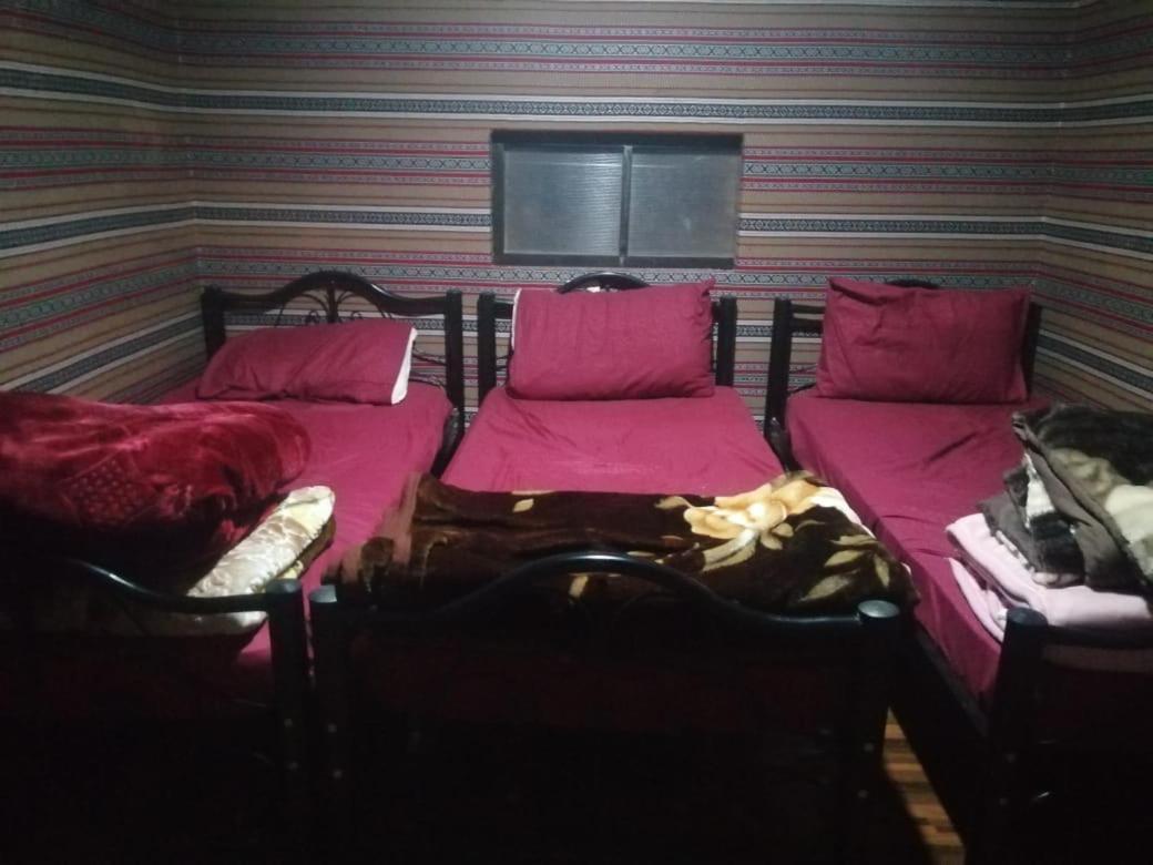 Bedouins Life Camp Hotel Akaba Kültér fotó
