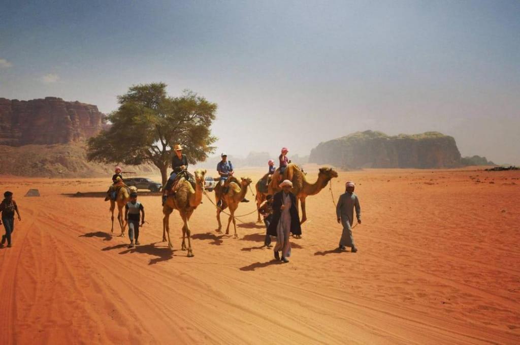 Bedouins Life Camp Hotel Akaba Kültér fotó